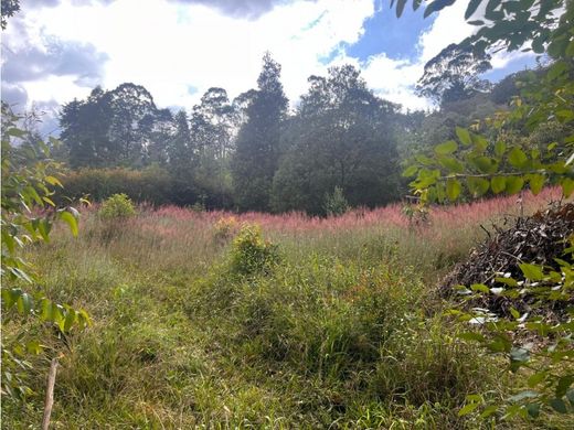 أرض ﻓﻲ Rionegro, Departamento de Antioquia