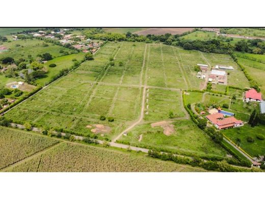 ‏קרקע ב  El Cerrito, Departamento del Valle del Cauca