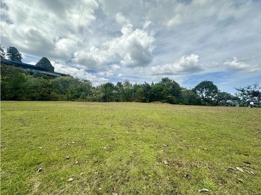 Arsa Rionegro, Departamento de Antioquia