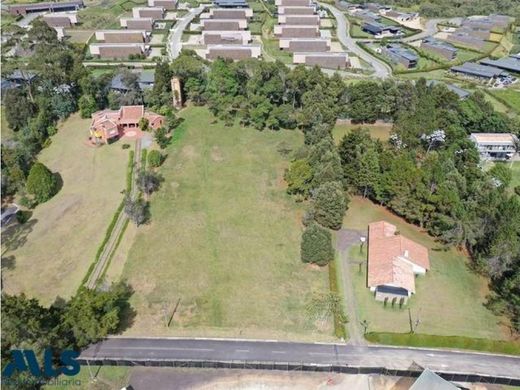 Arsa Envigado, Departamento de Antioquia