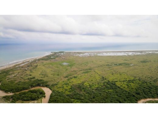 Arsa Cartagena, Cartagena de Indias
