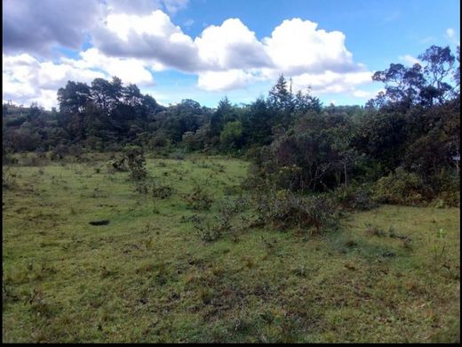 Grond in Rionegro, Departamento de Antioquia
