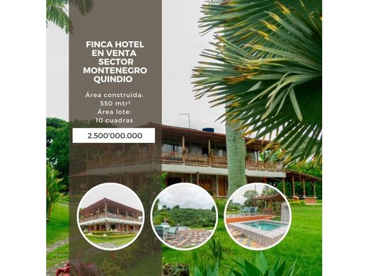Rustik ya da çiftlik Montenegro, Quindío Department