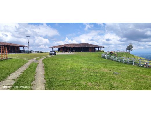 Quinta rústica - Sevilla, Departamento del Valle del Cauca