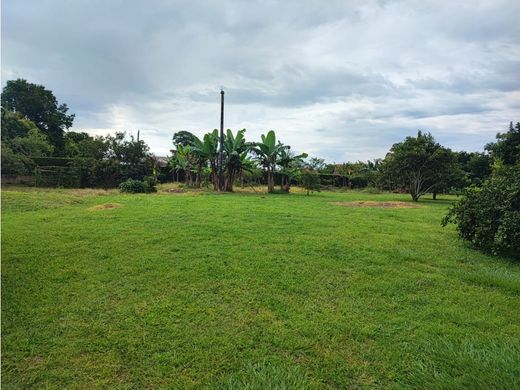 Terrain à Pereira, Departamento de Risaralda