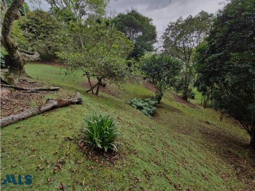 Land in Rionegro, Departamento de Antioquia