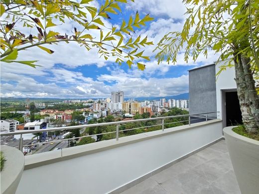 Penthouse in Armenia, Quindío Department