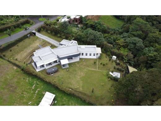 Gospodarstwo w Pereira, Departamento de Risaralda