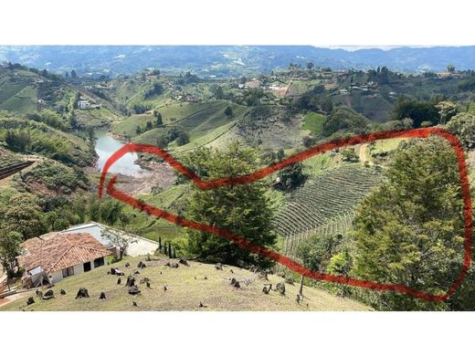 ‏קרקע ב  El Peñol, Yarumal