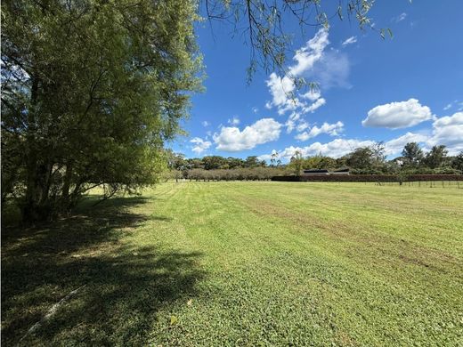 Rionegro, Departamento de Antioquiaの土地