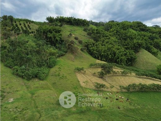Αγροτεμάχιο σε Manizales, Departamento de Caldas