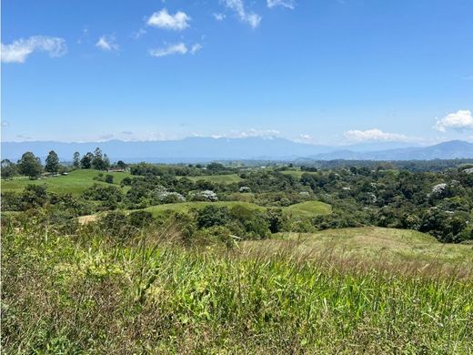 Filandia, Quindío Departmentの土地