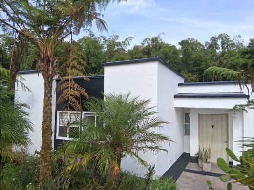 Propriété de campagne à Pereira, Departamento de Risaralda