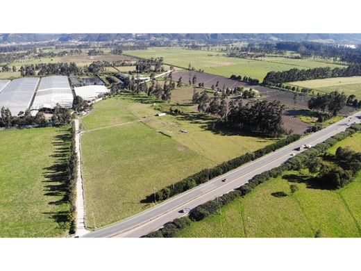 Nemocón, Departamento de Cundinamarcaの土地