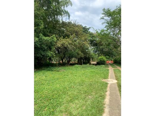 地皮  卡利, Cali