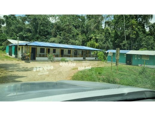 Ρουστίκ ή αγροικία σε Anserma, Guática