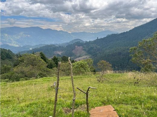 토지 / Caldas, Departamento de Antioquia