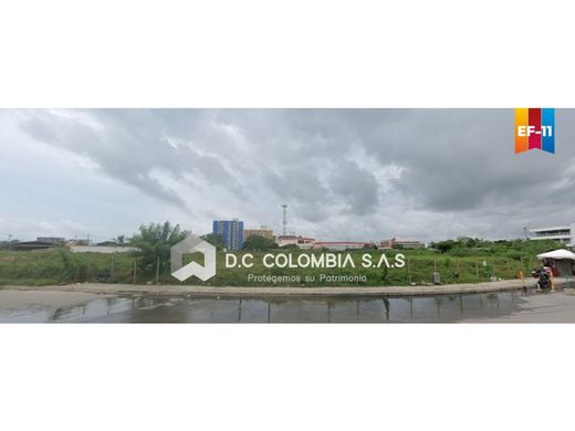 Arsa Cartagena, Cartagena de Indias