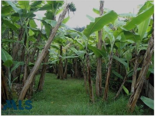 Köy evi Rionegro, Departamento de Antioquia