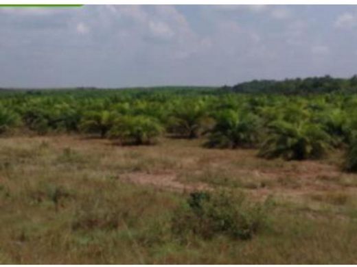 전원/농가 / Puerto Gaitán, Departamento del Meta