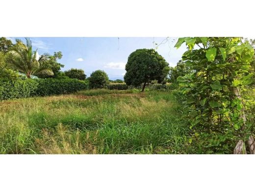 Grundstück in Montería, Departamento de Córdoba