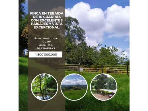 전원/농가 / La Tebaida, Quindío Department