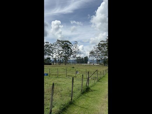 Terreno en Rionegro, Departamento de Antioquia