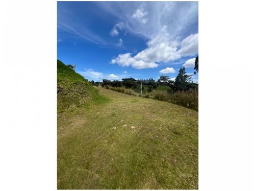 ‏קרקע ב  מדיין
, Medellín