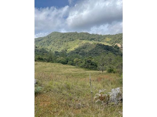 Terreno a La Unión, Departamento de Antioquia