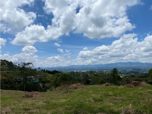 Teren w Rionegro, Departamento de Antioquia