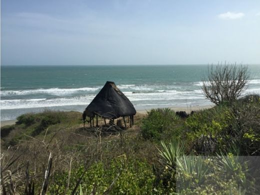 地皮  卡塔赫纳, Cartagena de Indias