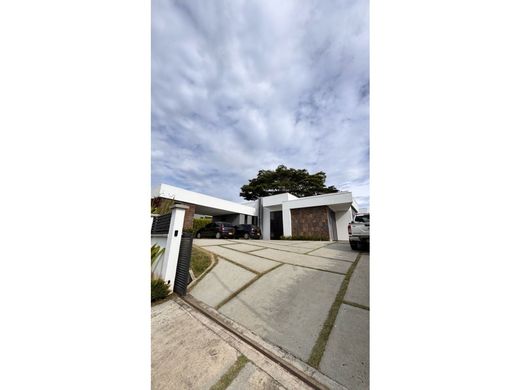 Gospodarstwo w Pereira, Departamento de Risaralda