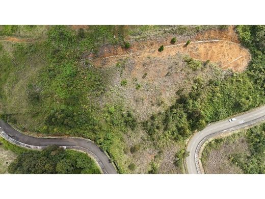 أرض ﻓﻲ ميديلين, Medellín