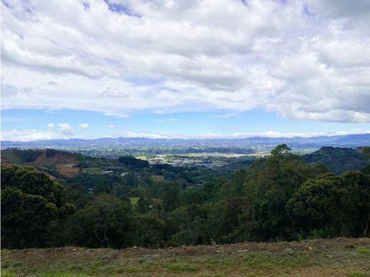 Arsa Rionegro, Departamento de Antioquia