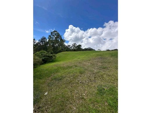 Arsa Envigado, Departamento de Antioquia