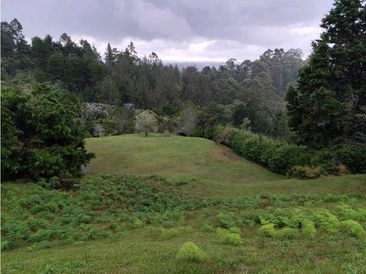Αγροτεμάχιο σε Rionegro, Departamento de Antioquia