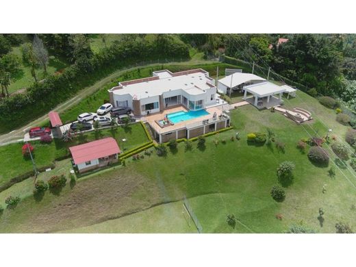 Гостиница, Palestina, Departamento de Caldas