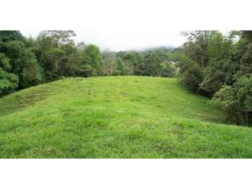 Land in Espinal, Departamento de Tolima