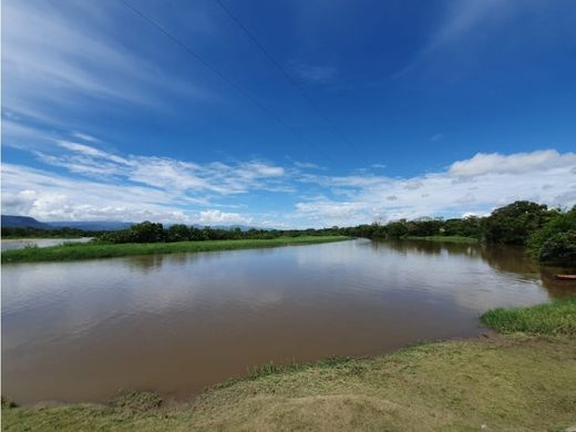 Purificación, Departamento de Tolimaのホテル