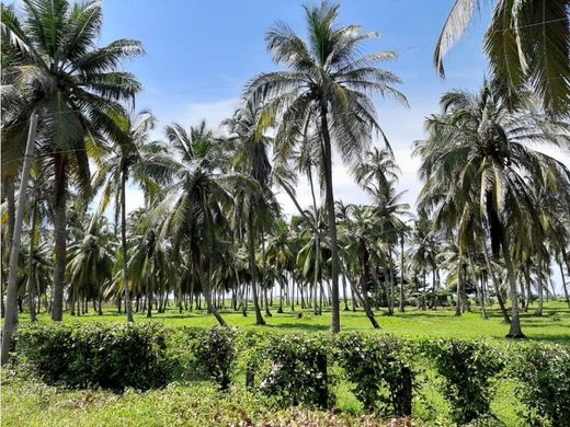 ‏קרקע ב  Cartagena, Cartagena de Indias