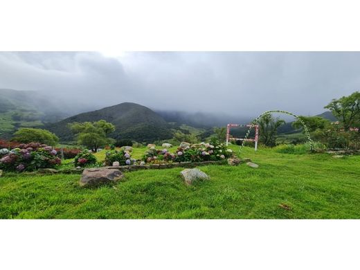 Hotel in Chinácota, Departamento de Norte de Santander