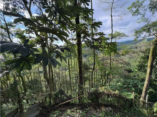 ﻣﻨﺰﻝ ﺭﻳﻔﻲ/ ﺑﻴﺖ ﻤﺰﺭﻋﺔ ﻓﻲ Calarcá, Calarca