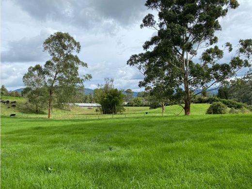 Landsitz in La Ceja, Departamento de Antioquia