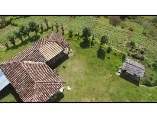 Сельский Дом, Cocorná, Departamento de Antioquia