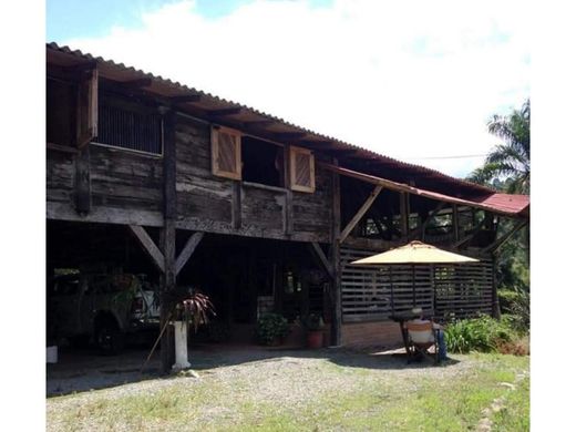 Boerderij in Pijao, Quindío Department