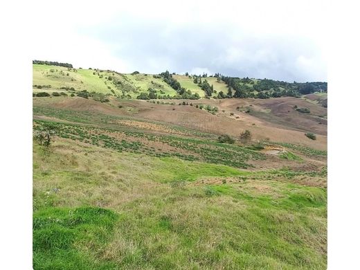 Ferme à Chocontá, Departamento de Cundinamarca