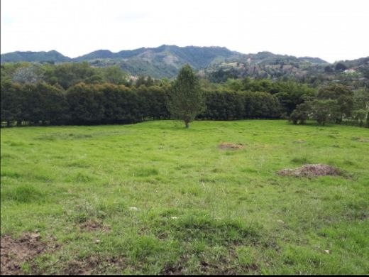 地皮  Retiro, Departamento de Antioquia