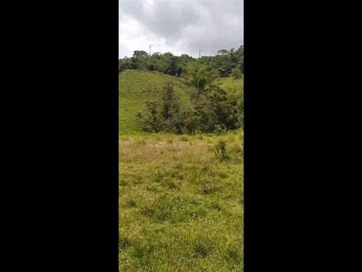 Αγροτεμάχιο σε Dosquebradas, Departamento de Risaralda