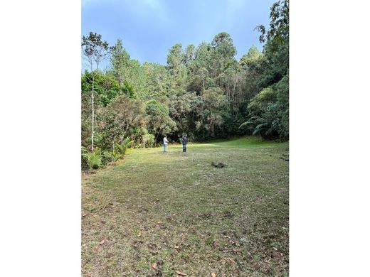 أرض ﻓﻲ Envigado, Departamento de Antioquia