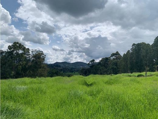 Rionegro, Departamento de Antioquiaの土地